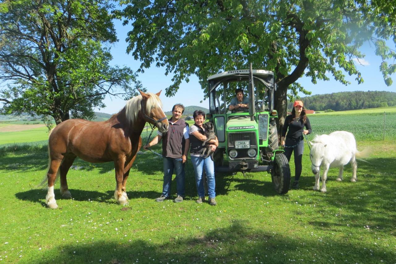 Eschlkam Ponyhof Adam Urlaub Auf Dem Bauernhof 아파트 외부 사진