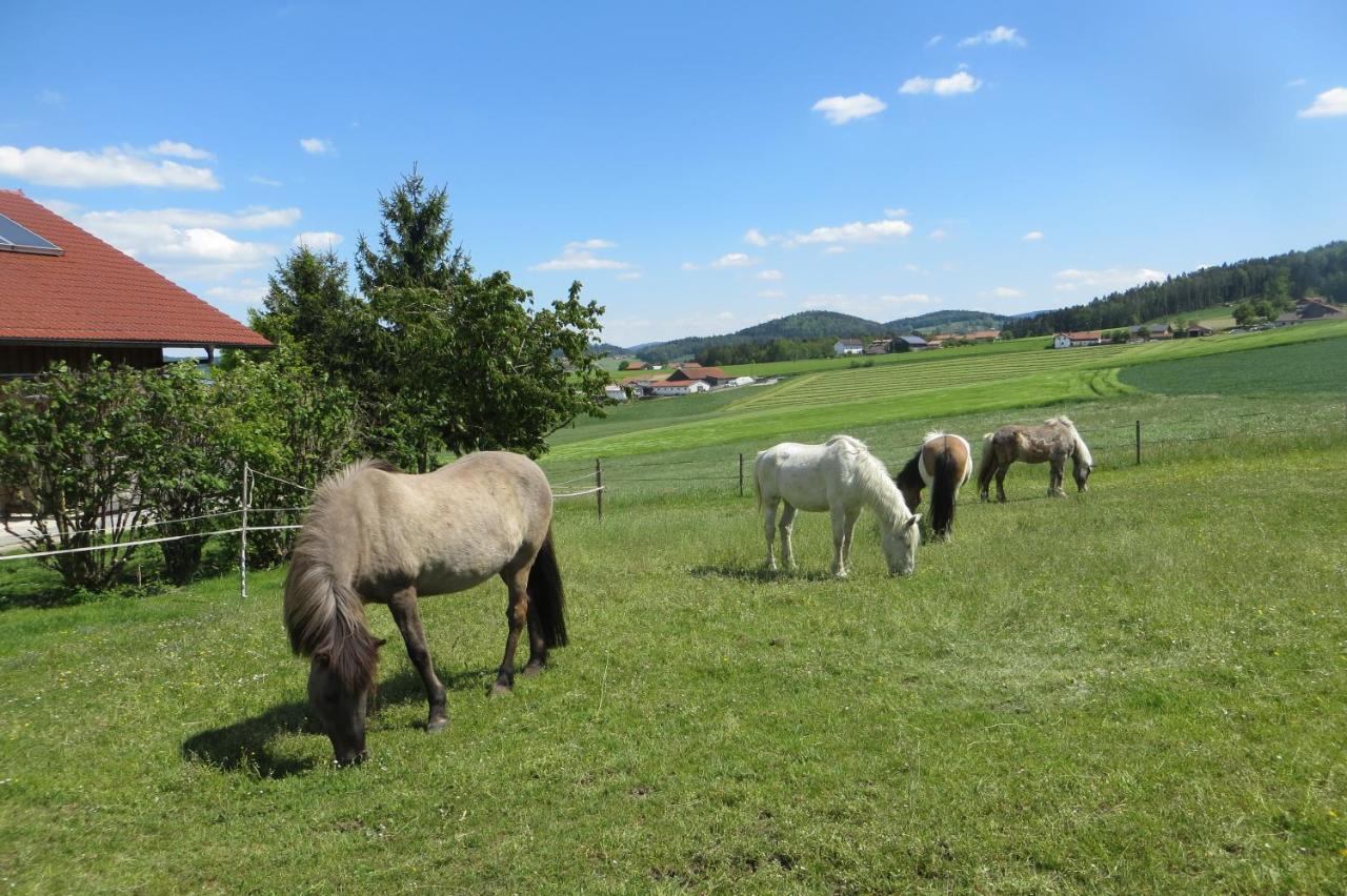 Eschlkam Ponyhof Adam Urlaub Auf Dem Bauernhof 아파트 외부 사진
