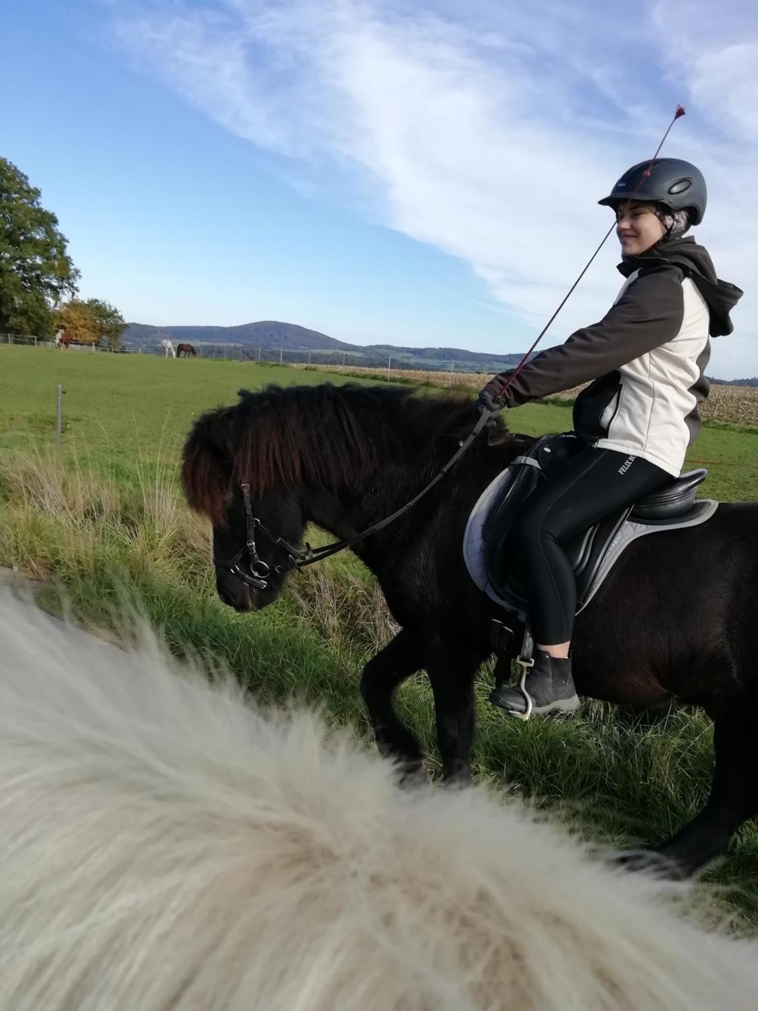 Eschlkam Ponyhof Adam Urlaub Auf Dem Bauernhof 아파트 외부 사진