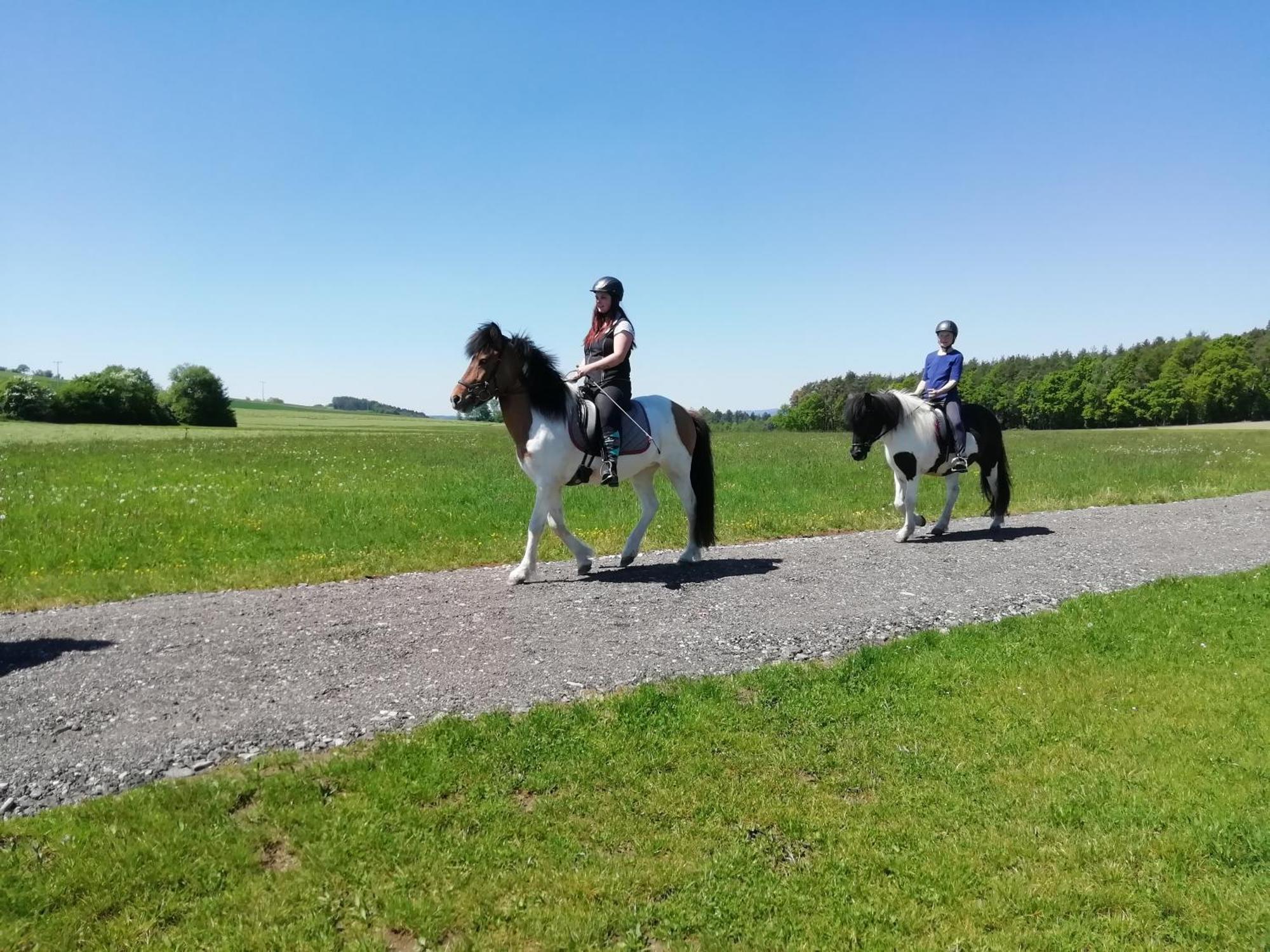 Eschlkam Ponyhof Adam Urlaub Auf Dem Bauernhof 아파트 외부 사진